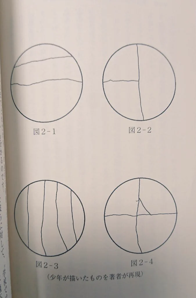 台風で衝撃な行動をとる人を「ケーキの切れない非行少年たち」と掛け合わせて読み解くｗｗどちらも発想が常識外ｗ