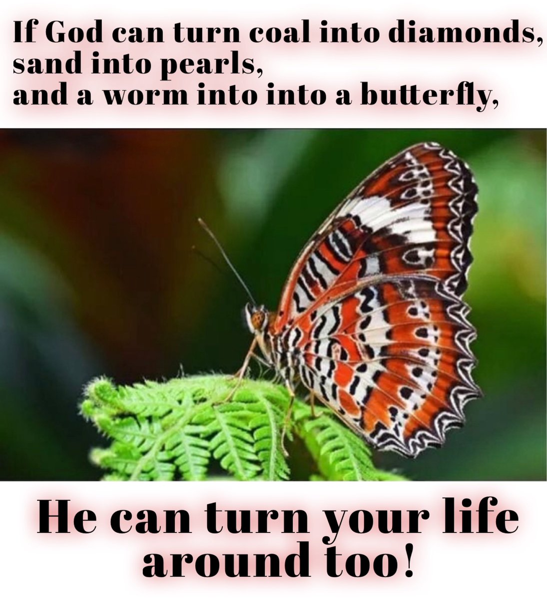 Amen!🌿♥️🌿 #WednesdayMotivation #God #love #joy