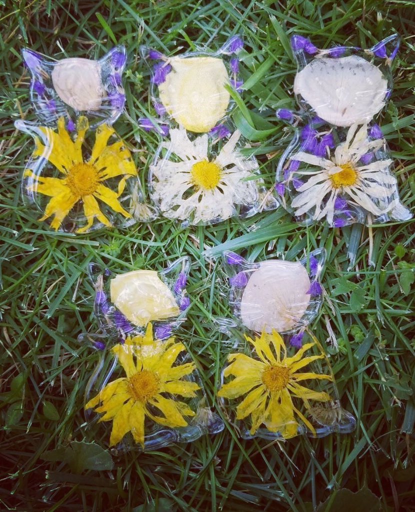 FlowerProject18's tweet image. Meow 

#TheFlowerProject #KTarr #HMM #CustomCats #CatArtist #FlowerArt #DragonFly #Butterfly #DaisyCat #PetLover #Flowers #Flores #FuneralFlowers #FlowerTherapy #Daisy #ThoughtfulGifts