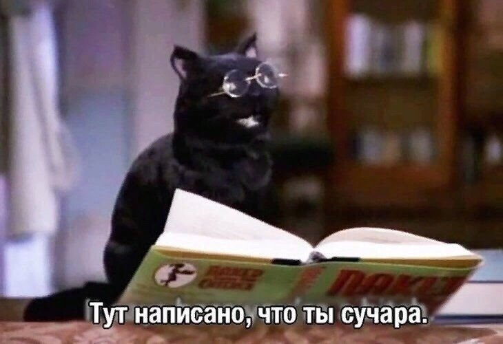 crazy_cat63's tweet photo. Просто ору не могу...ну вы посмотрите на него https://t.co/csPKqLL1NN