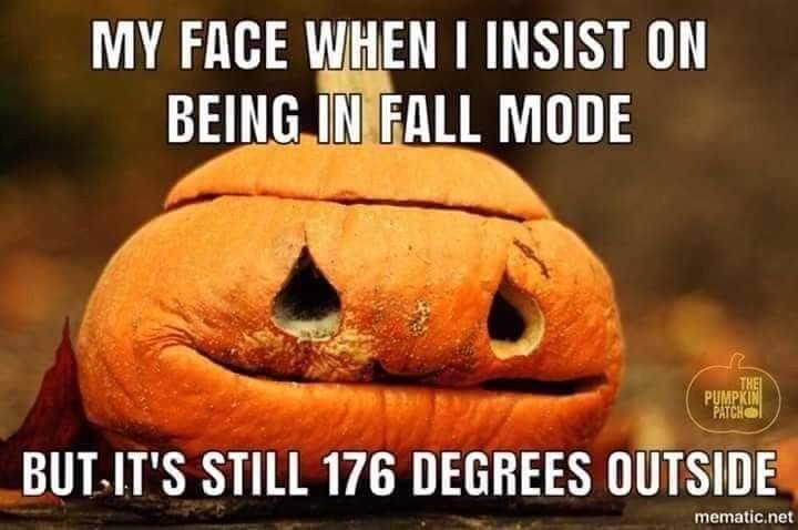 sweetpjess's tweet photo. #fallmode https://t.co/Dg9ircPGZ4