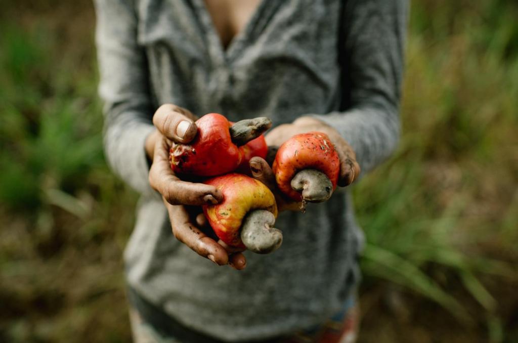 Regenerative Travel – A Deeper, More Impactful Experience playaviva.wordpress.com/2019/08/14/reg…