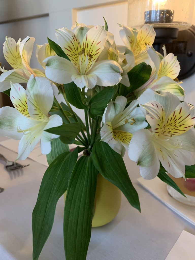 DeniseCarterPCB's tweet photo. It was a beautiful evening at our Tommy Bahama Island Dinner Show! 🌺 #EmbarcEvents #SteelDrummerRudyApplewhite #Sandestin https://t.co/rVCY3722mW