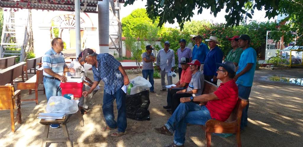 SEFADER_GobOax's tweet photo. En #Istmo, el Depto. de Salud Animal de la #SEDAPA a través del #CESVO Oaxaca impartió una capacitación sobre el control biológico de plagas en #sorgo y se entregaron a productores, insectos benéficos (crisopas) para su liberación, generando un control sobre el pulgón amarillo. https://t.co/yxe8BVOlN9