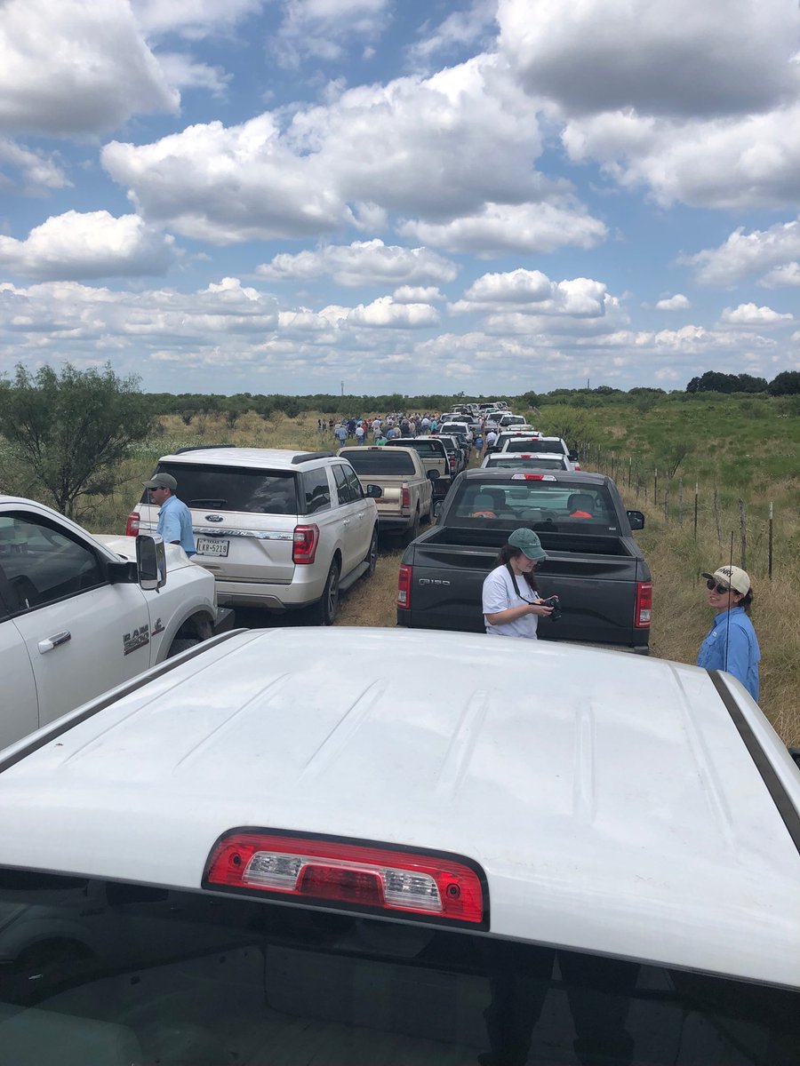 Jim Cathey tweet media