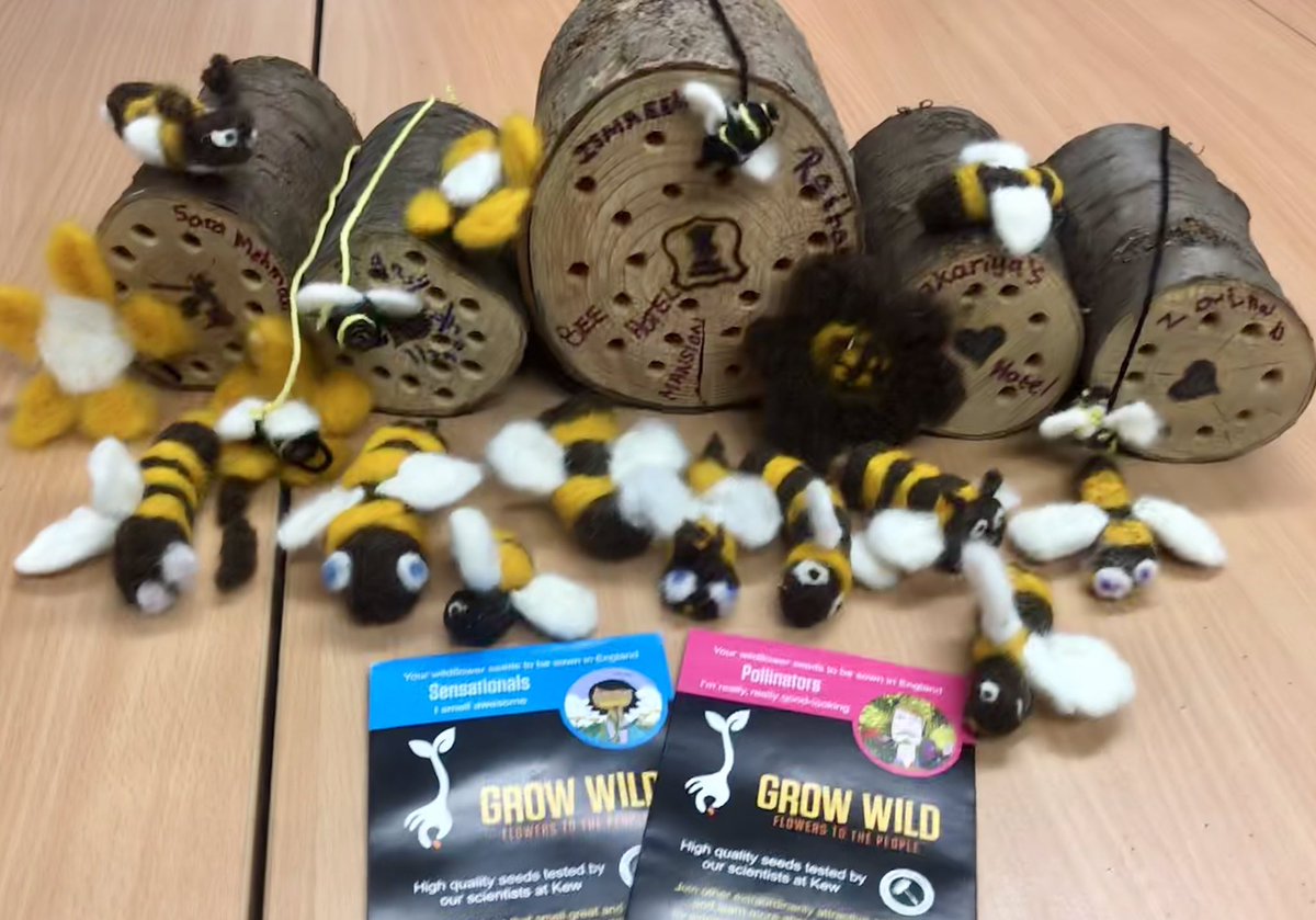 pv4ulytham's tweet photo. Thank you @crl_live for inviting us to Accrington station to make #PollinatorPitstops and needle felted bees as part of our #MakeABeeline project You are all very creative ππΈ @GrowWildEngland #PollinatorFriendlyStation #bees #GransOnTheMake @VirginTrains https://t.co/YdN6P7sxxf