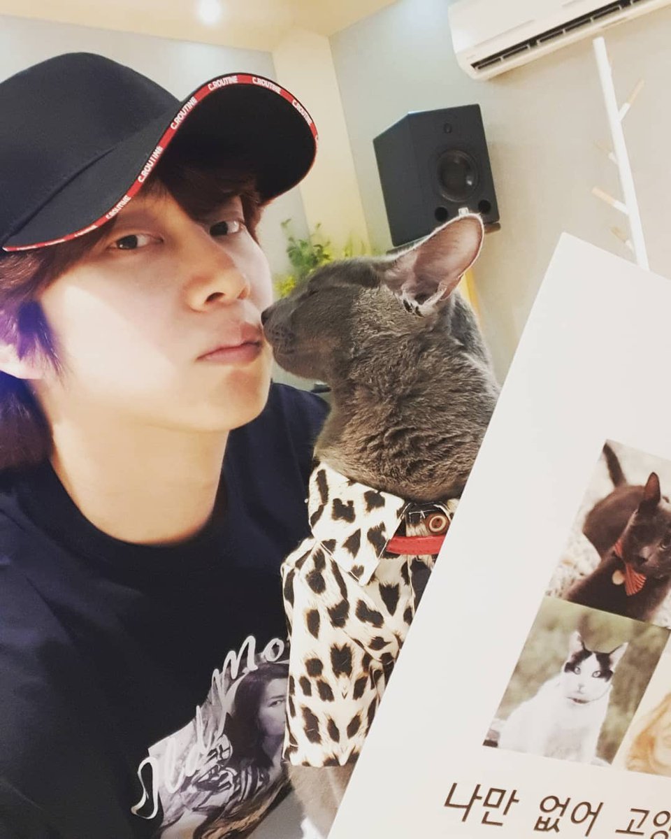 ElfSJItalianFC's tweet photo. #Heechul Instagram Updating
"#HelloMyCat" https://t.co/4lCGO37uBI