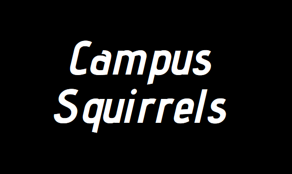 Ok, but fr...

Sco pa tu manaa??