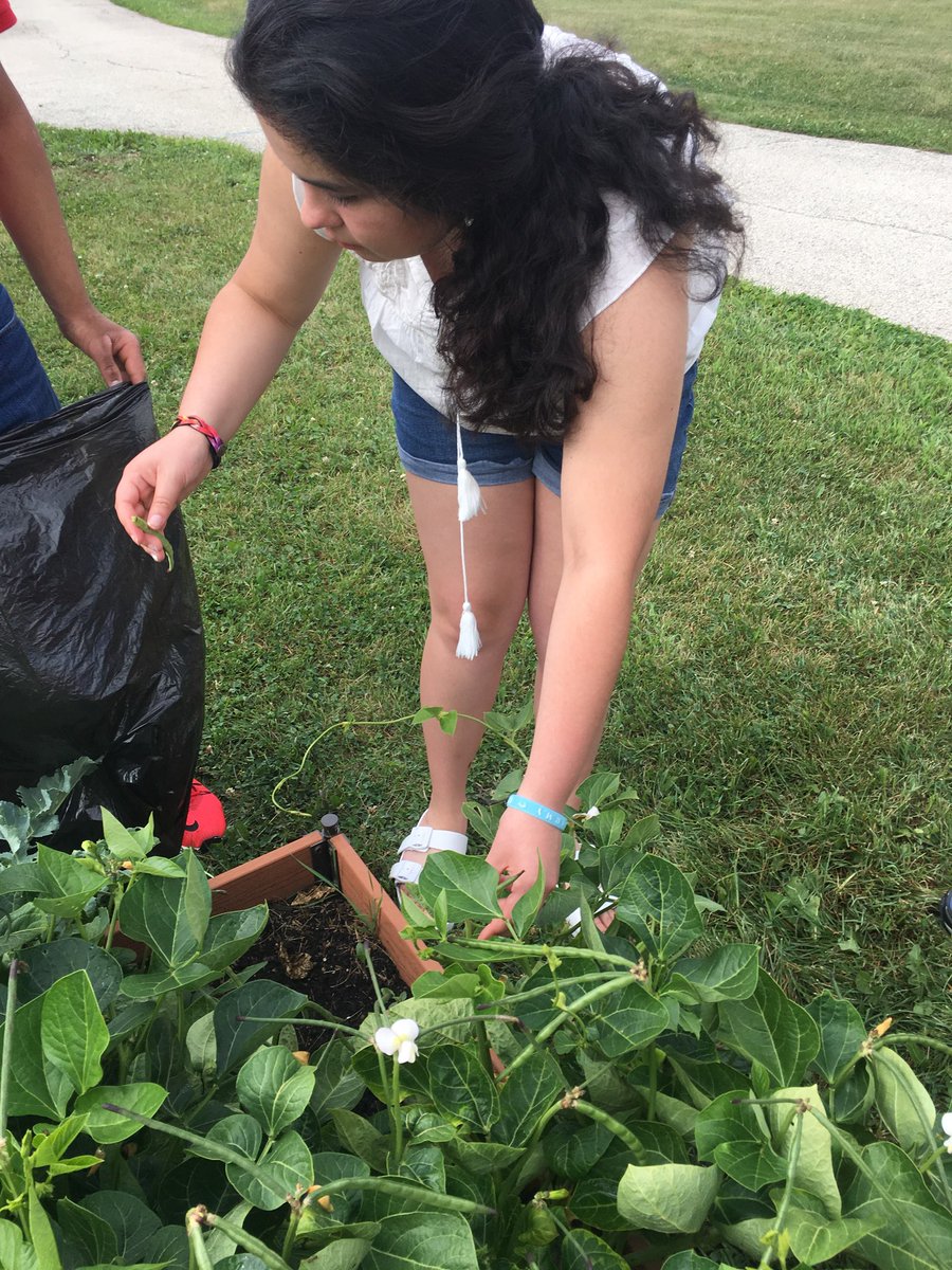 MichaelDalPort1's tweet photo. NDSEC TLC Transition returned to a garden full of fresh peppers &amp; greenbeans for us to pick. Cooking this Friday. #ourndsec #ndsectlc https://t.co/3pxna9R80W