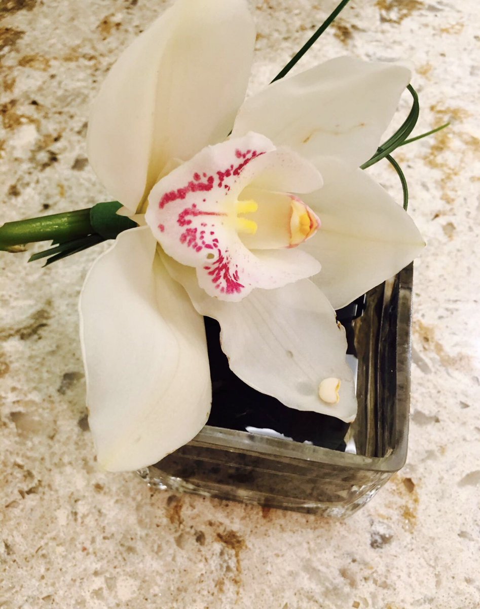 My beautiful Orchid finally bloomed! It’s those little things! “Live in each season as it passes; breath the air, drink the drink, taste the fruit, and resign yourself to the influence of the earth.” ~ Henry David Thoreau ~