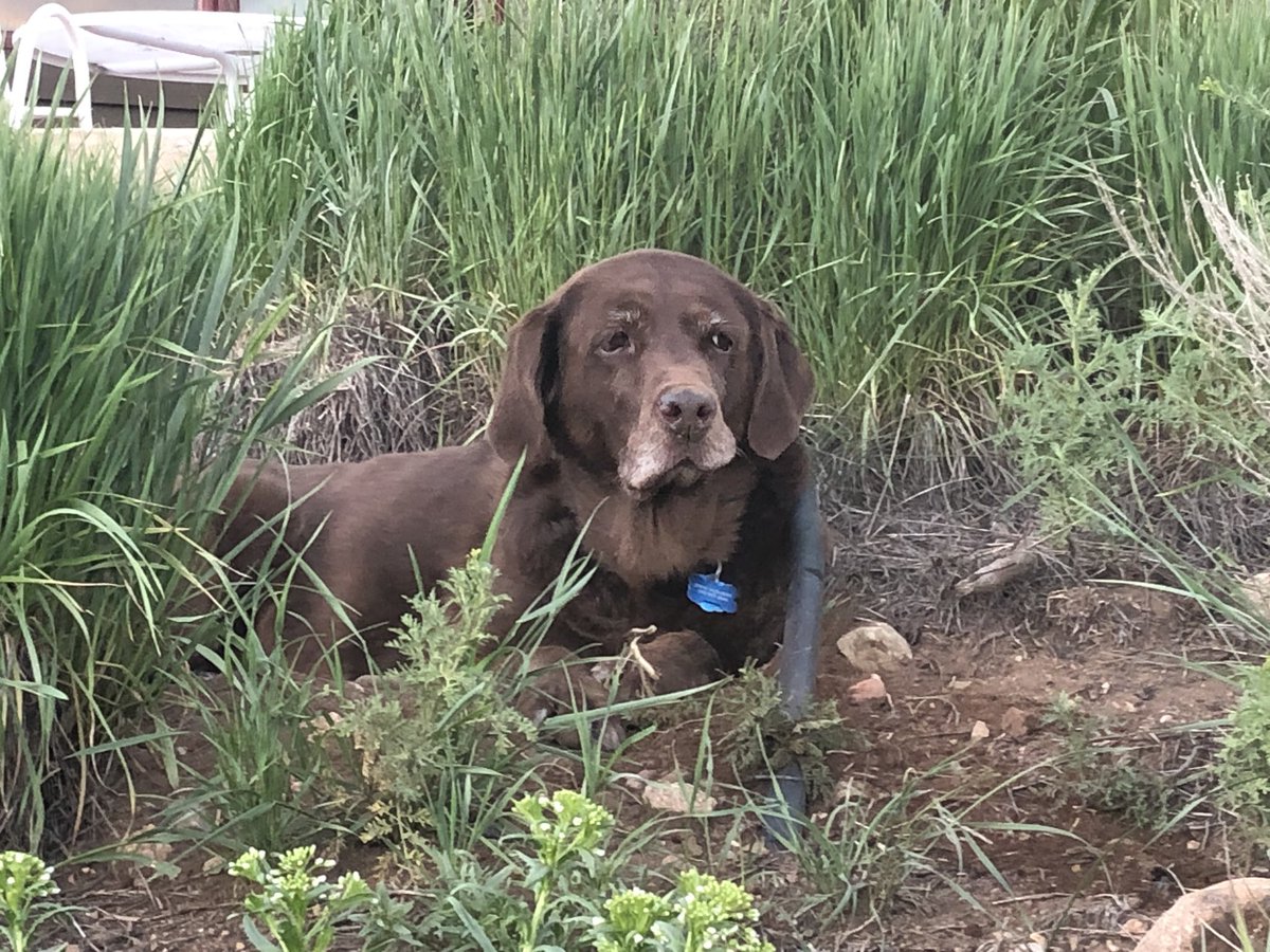 Steve Hurlbert tweet media