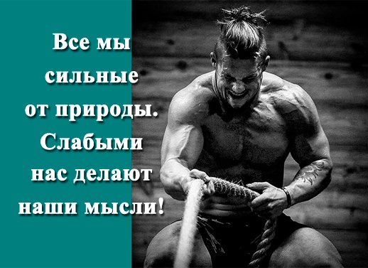#спорт #тренажерка #зож #сила #силовыетренажеры Производитель тренажеров: newlife.in.ua