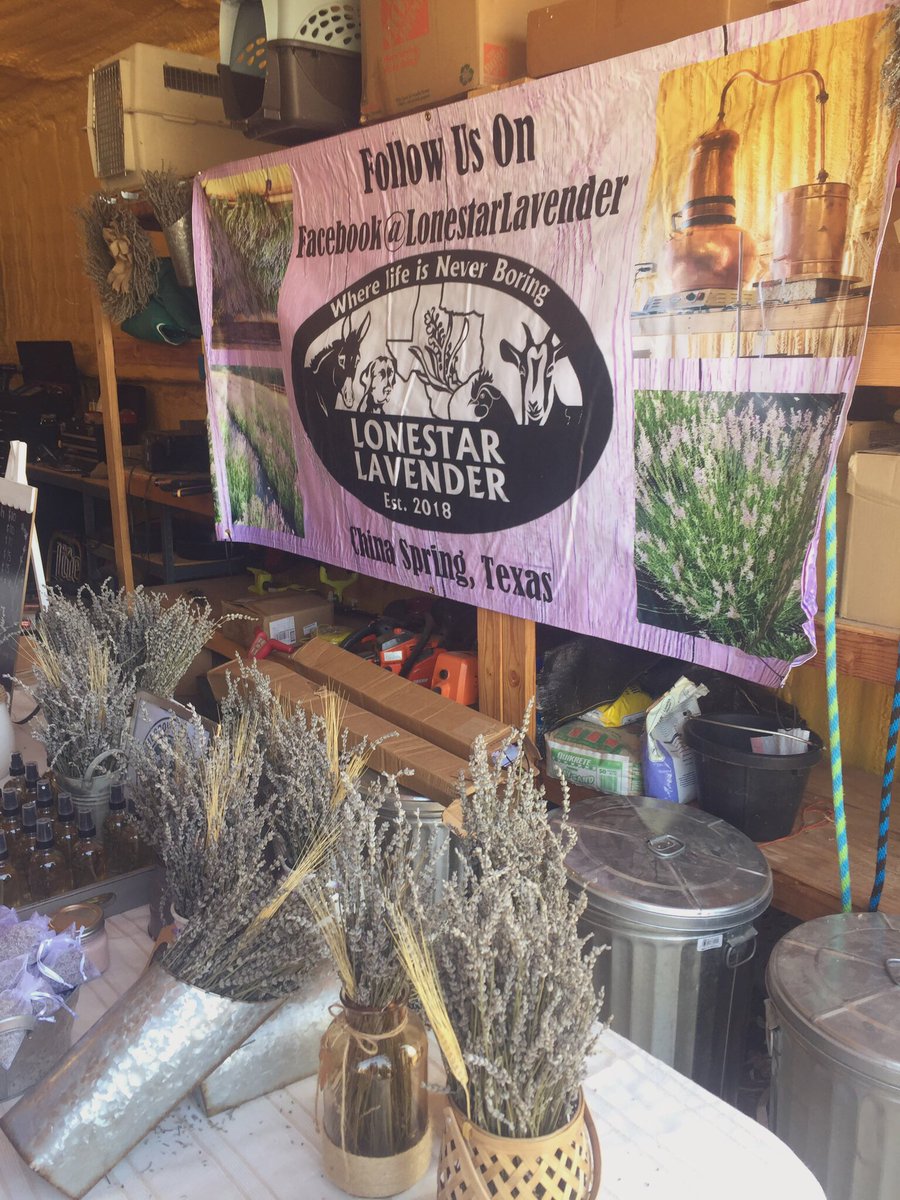 sarahshipp91's tweet image. Lonestar Lavender Farm is the COOLEST. We must have looked wild rolling up in a big yellow bus with all our hawaiin gear on 😂 #csmsfamily #csisd #ourWHY