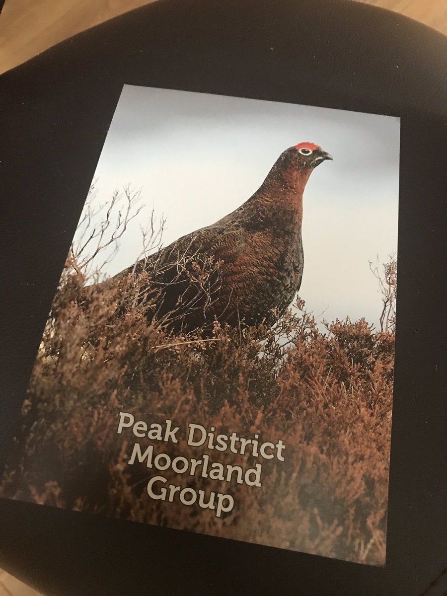 butlersderby's tweet photo. We’re celebrating The Glorious 12th with a Grouse Demo &amp; Dine Eve with guest speakers from the Moors @BASCcentral @tasteofgame #game #wildchef https://t.co/JqMxXowF5L