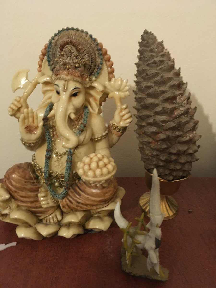 Machine_Mahin's tweet photo. This is my Arceus statue. For a while kept it in the shrine of all the other Hindu statues where it surprisingly fit in perfectly, where my mum would pray. Without knowing my mum was praying to Arceus every day 🤣🤣🤣 #PraysHelixFossil #PokemonGod https://t.co/dj4IocorxU