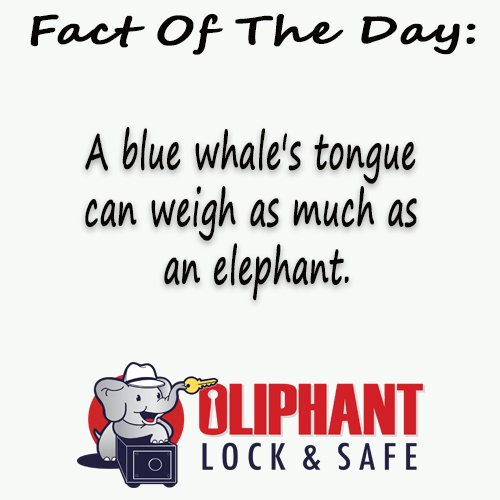 oliphantlock's tweet photo. Behold today's super sized #WednesdayWisdom! https://t.co/HdO0edmlLE