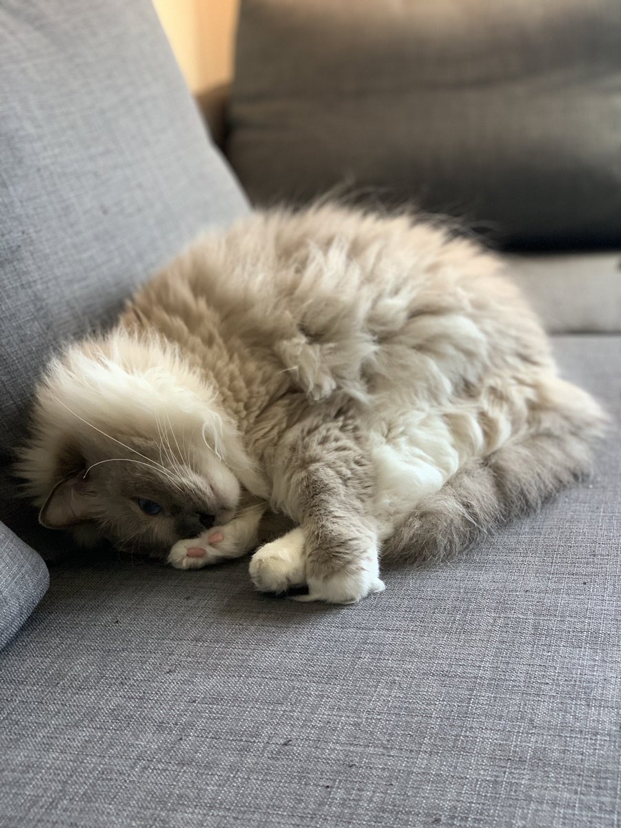 When you’re just having one of those days 🥺😔