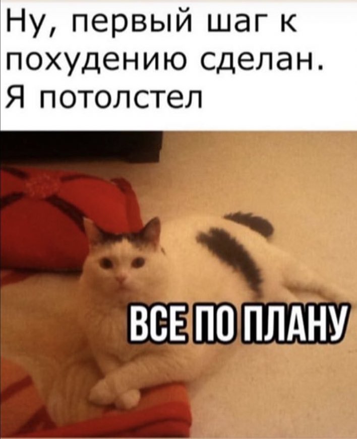pegfy_msrina's tweet photo. https://t.co/6zbLs1mU4c