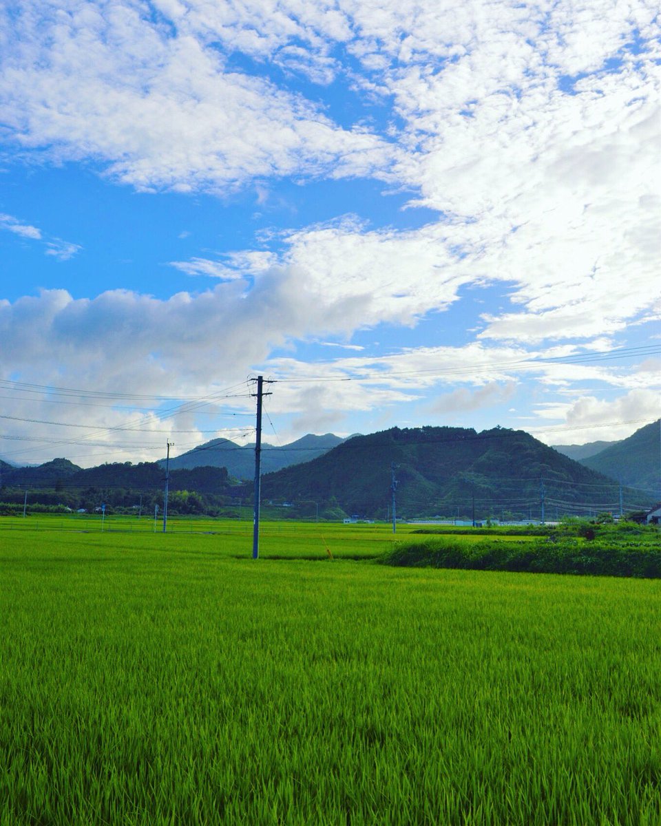 おおの たつや 佐伯市議 V Twitter 下城の風景 2019 08 田舎