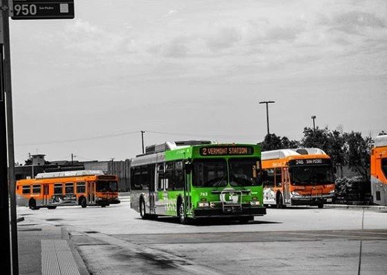 RideGTrans's tweet photo. Today we are featuring another great fan photo. This photo taken by Carlos with this great caption "Dressed in emerald, she made quite the entrance."
Please share or tag us in your photos and we might share it on our social media pages!
#RideGTrans #ridesafe #fanphoto #gardenabus https://t.co/g0EfOtyjmm
