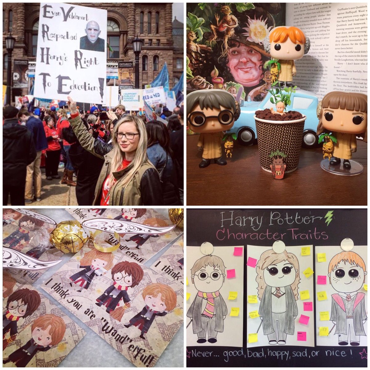 MuggleNet's tweet photo. "My students were sorted into their Hogwarts Houses and I’ve loved sharing my Potter passions with my class. I’m proud to say I created a class full of Potterheads, who now fully enjoy the magical world of reading.” @mugglebornteacher #MugglesMakingMagic #WanderfulSchoolYear https://t.co/7p6rUb2X4K