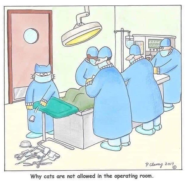 northelmanimal's tweet photo. Hump Day Humor.... https://t.co/e4QOtGaM4W