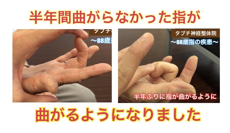 保障できる タブチ神経整体 神経整体 シナプス療法 www.m - www