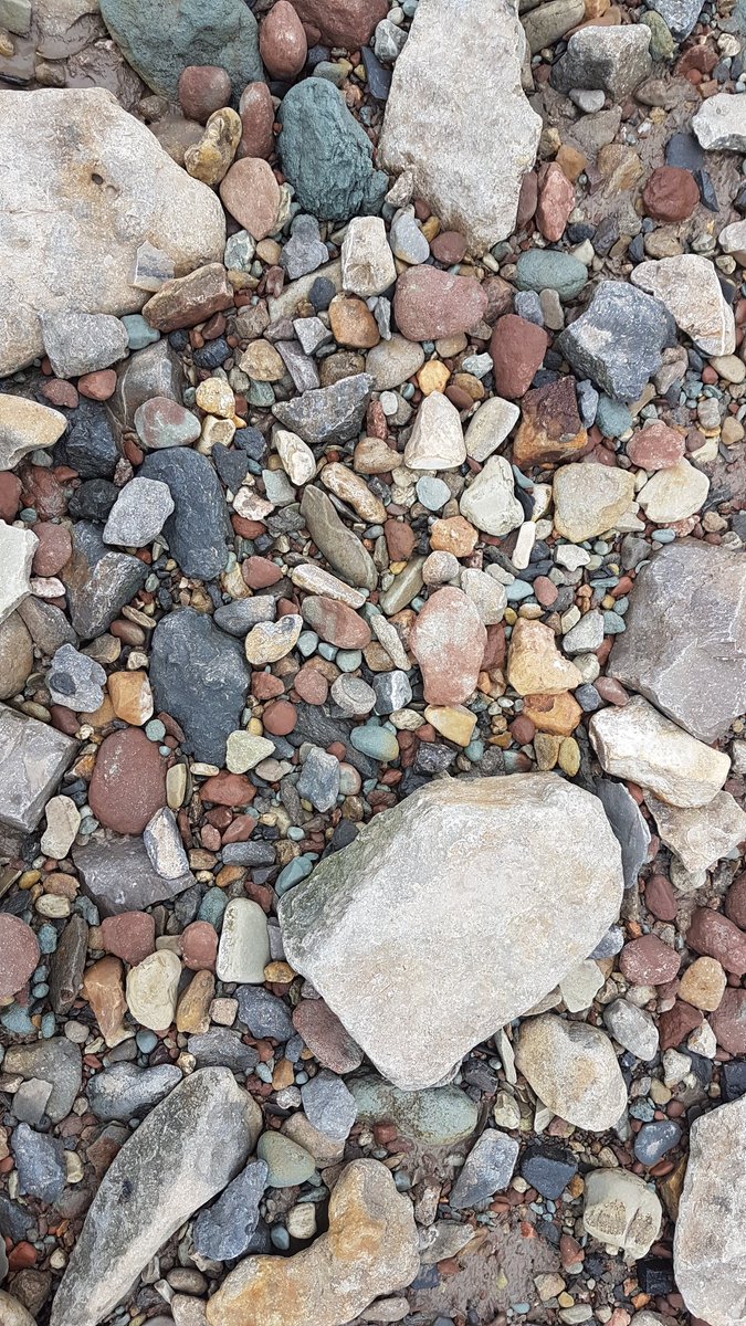 Can you spot the fossil!? As found on the beach tonight!
