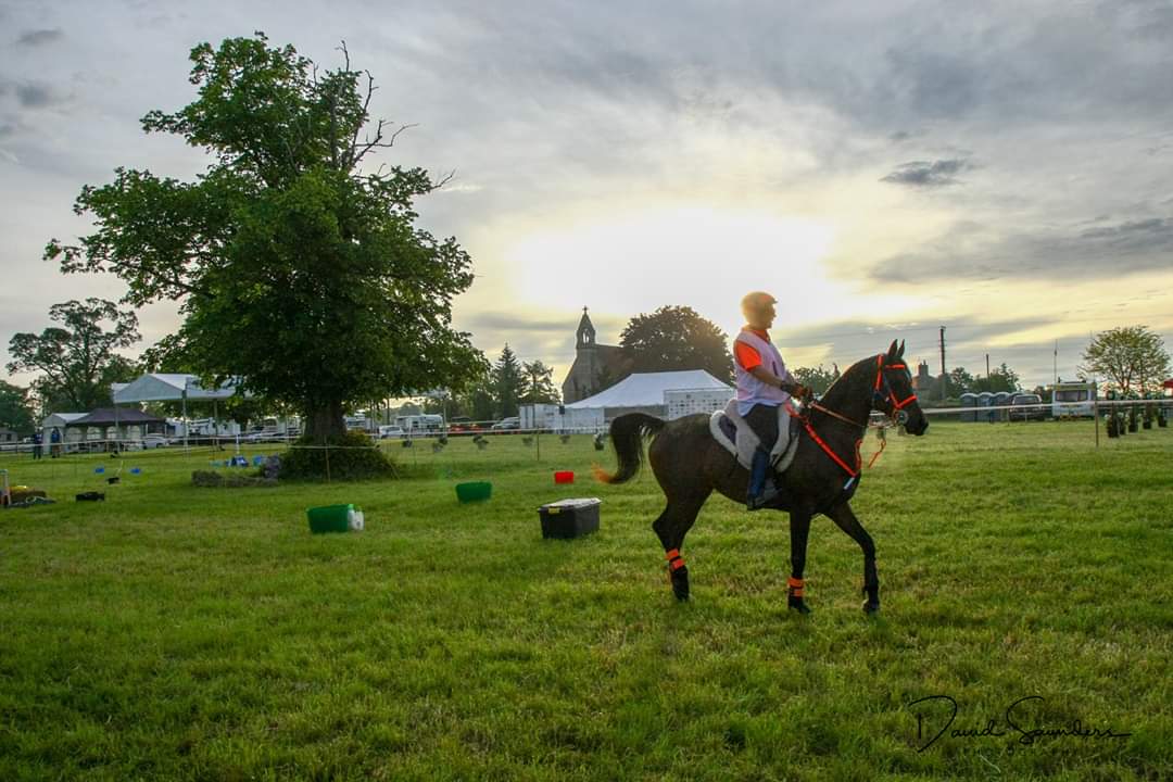 So excited to be on the Nations Cup team in the CEIO2* this weekend with HS Chiara