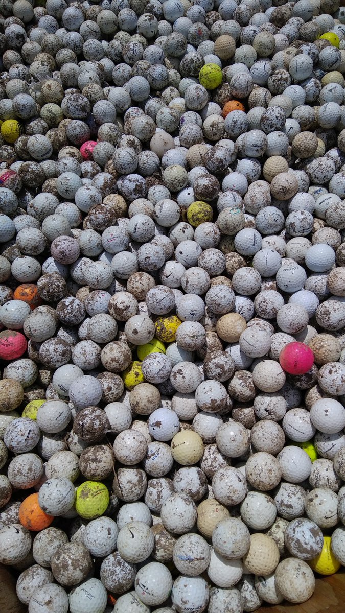 houstonbotanic's tweet image. Hundreds of these historical artifacts recovered from our property will be given new life thanks to our friends at @texasartasylum . We can't wait to see how the golf balls will be repurposed into art!