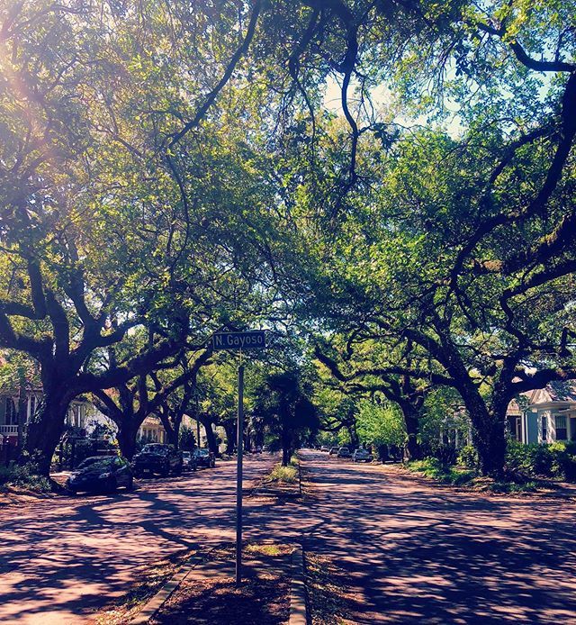 Don’t forget to #vote for your next LC ASLA President and Trustee! Hit the link in our bio to vote by next Friday 8/23. #landscapearchitecture #thisislandscapearchitecture #lcasla #asla #aslatrustee #alsapresident #lcaslapresident #lcaslaexcomm