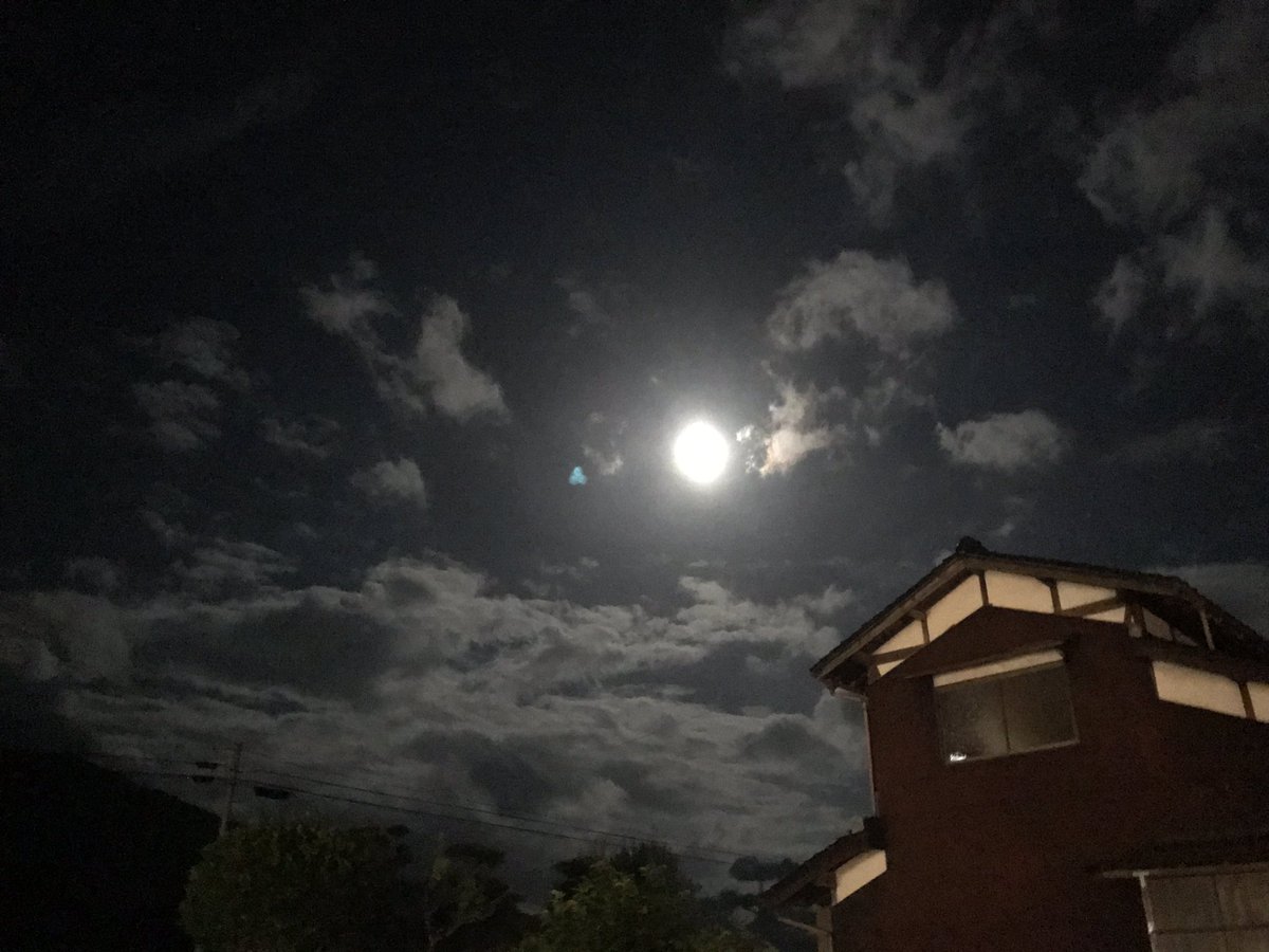 昨夜は
台風が心配され
自治会の盆踊りも
残念ながら会館の中で…😭

月が綺麗やったなぁ💕