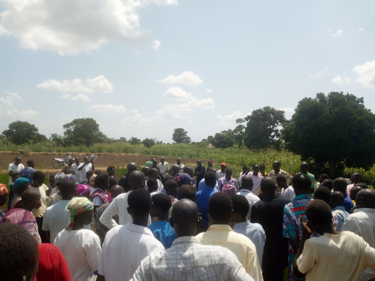 mlapio's tweet photo. #FarmersFieldday  @ Apac &amp; Apc  District Learning &amp; sharing from field experiences 4 potential knowledge exchange thru farmer 2 farmer technology transfer @ruforumsec @WOTRO @narouganda @MakerereU https://t.co/gNIR2tMnJu
