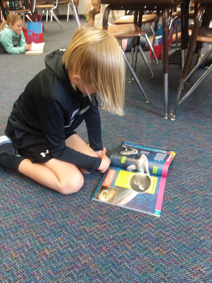 michellefultz4's tweet photo. Practicing "Read to Self" https://t.co/vFhJGR4uUe