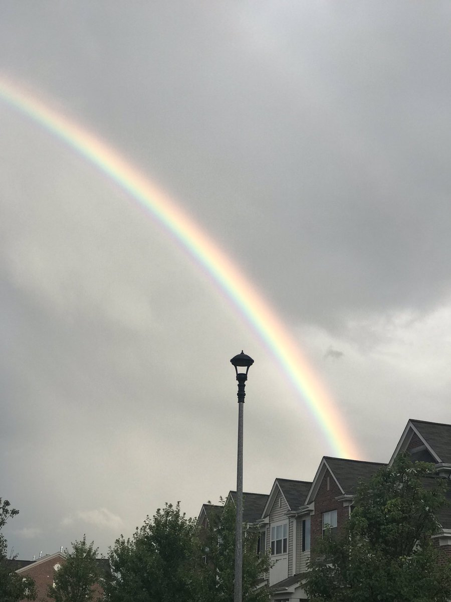 megoodman15's tweet photo. The perfect start to a post storm bike ride! https://t.co/Obep5xSHLY