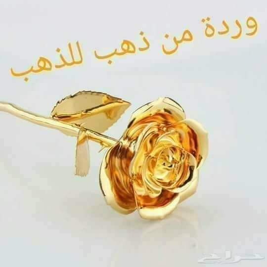 القـوّة ليست دائماً فيما نقول ونفعل ! أحياناً تكون فيما نصمت عنه ، فيما نتركه بإرادتنا ، وفيما نتجاهله..sama..