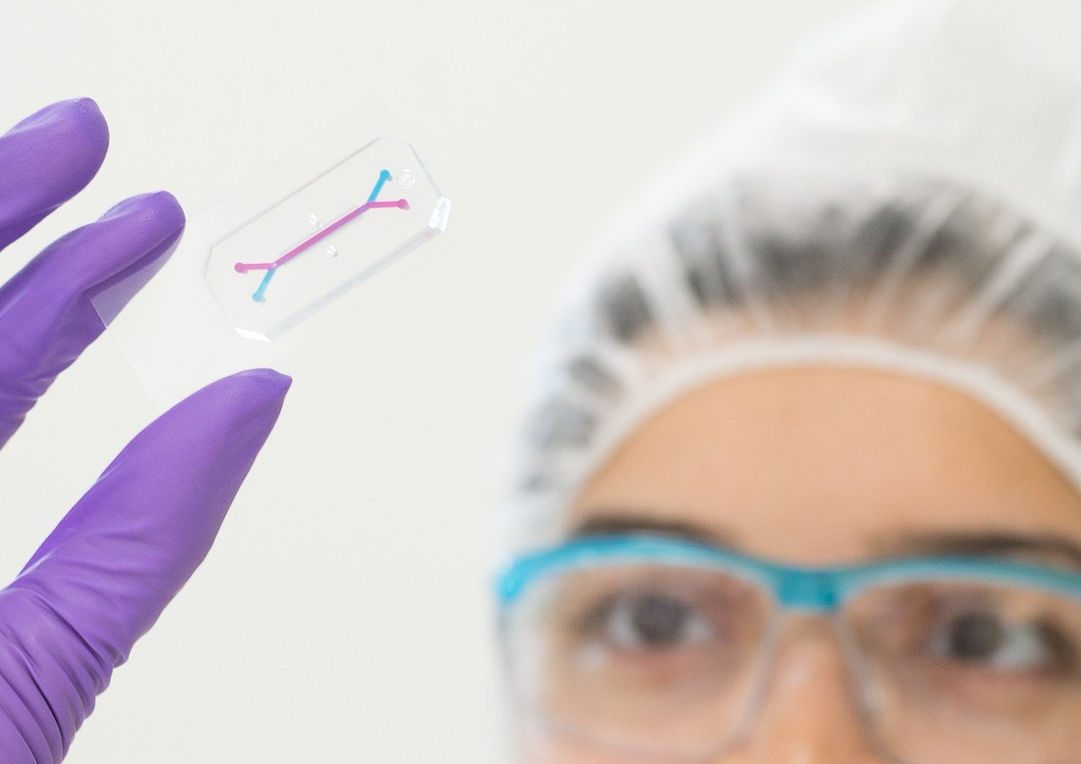 emulateinc's tweet photo. WE'RE HIRING! We are looking for a Senior Scientist to join our Research Team. Learn about this opportunity and apply today! https://t.co/qfjkBr0l4E #emulatejobs #OrgansOnChips https://t.co/93gaEvGEtb