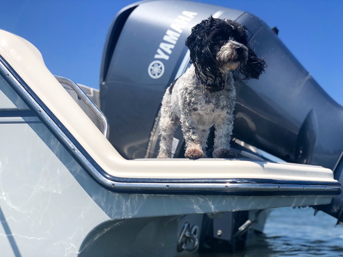 AnnaDoggettt's tweet photo. @YamahaOutboards hey look I found the perfect way to sell more motors on your next magazine cover 🥰 

Model: Hayes
Boat: @GradyWhiteBoats https://t.co/zCTU77MuuG
