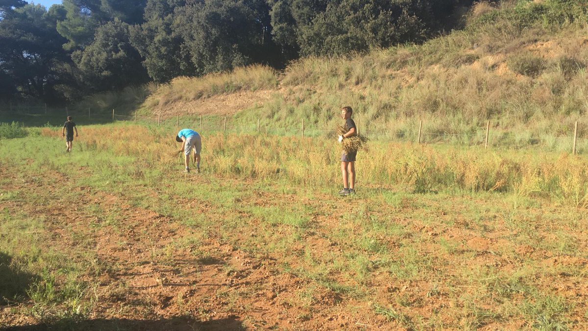 Els horts de Puigvert tweet media