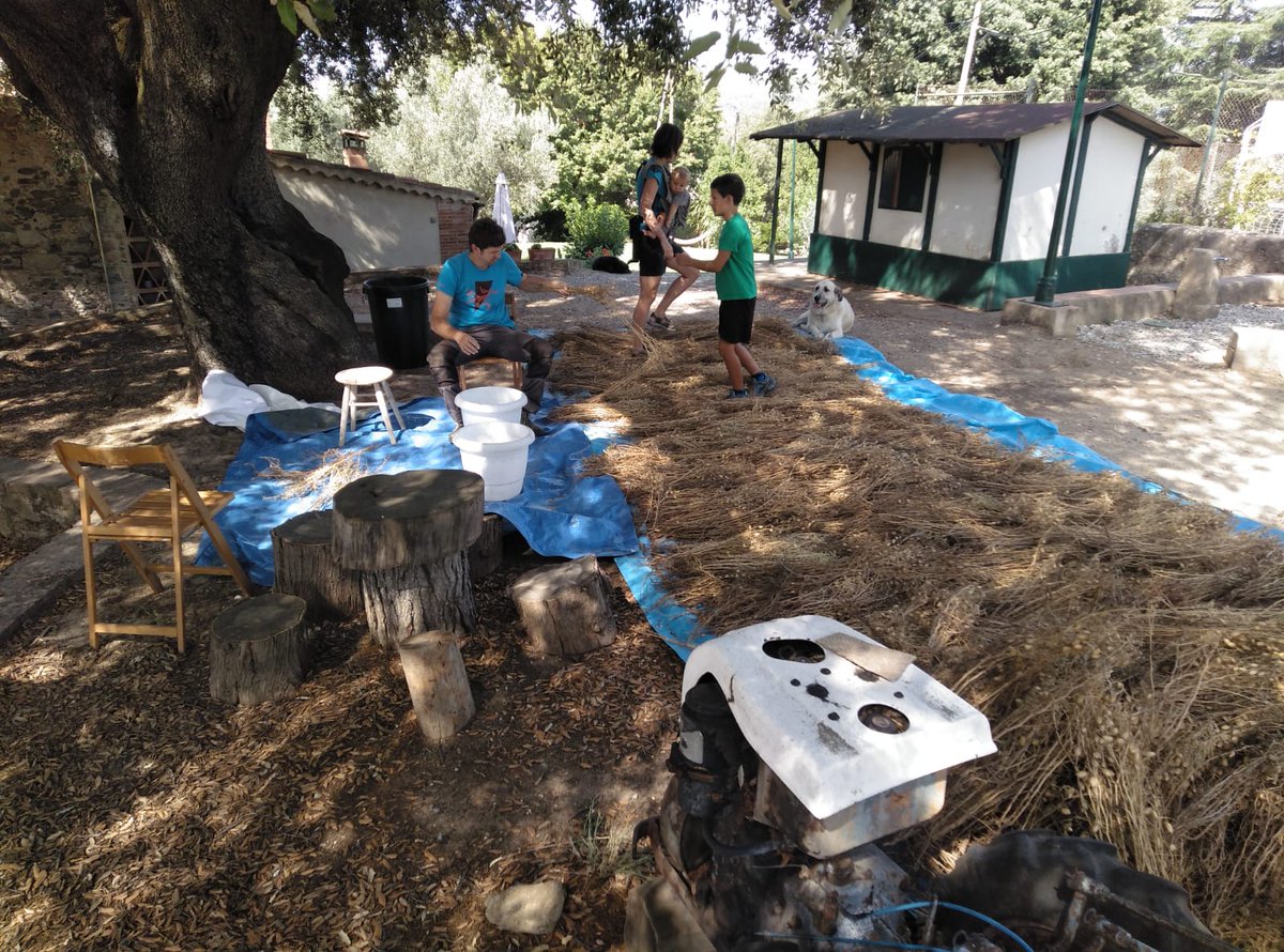 Els horts de Puigvert tweet media