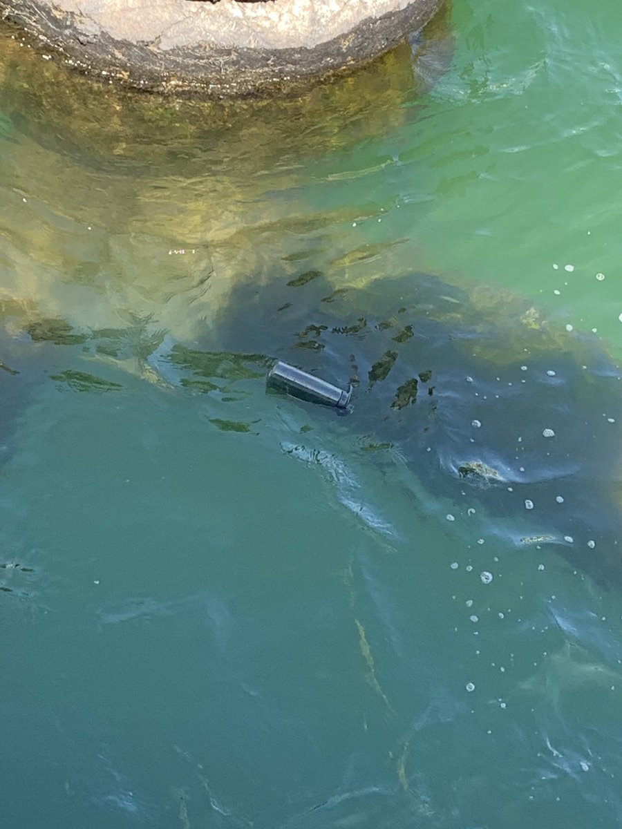 Here it lies. I do feel like I’ve polluted the oceans now so I’m am v v v sorry to the turtles