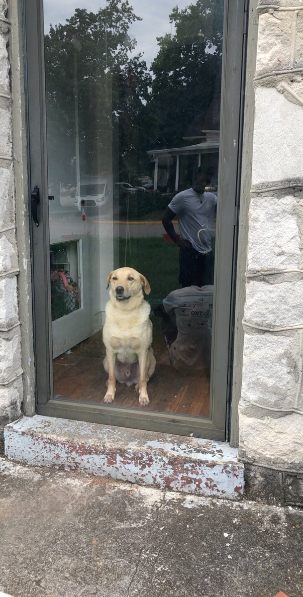 Patiently waiting for the castle drawbridge to drop #625