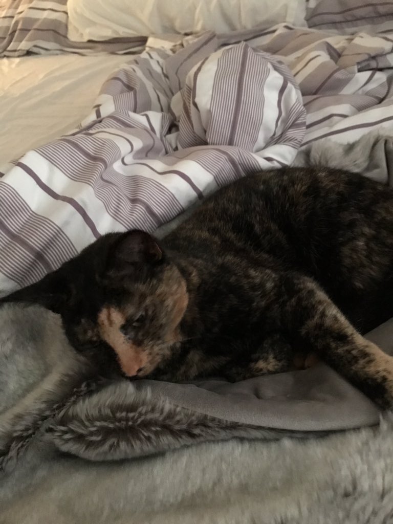 midiclorian's tweet photo. @Crackmacs #bedroomtakeover #PeachRules https://t.co/iUabk4ynBI