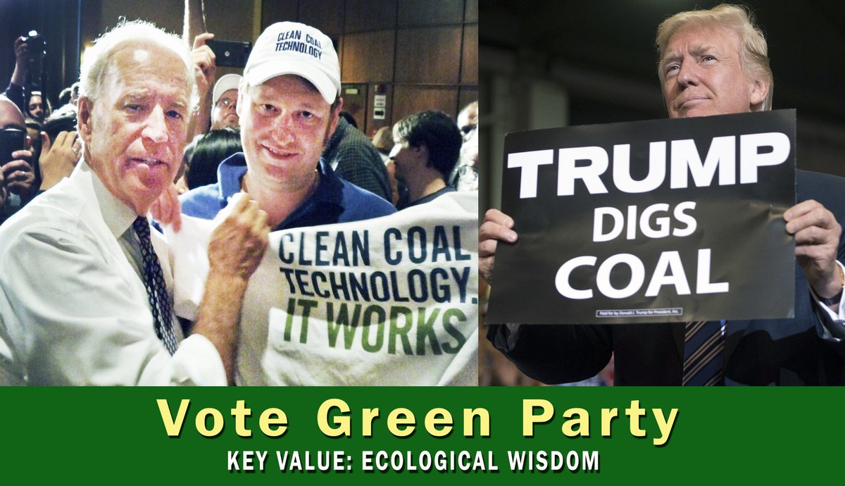 Washtenaw Co. Greens tweet media
