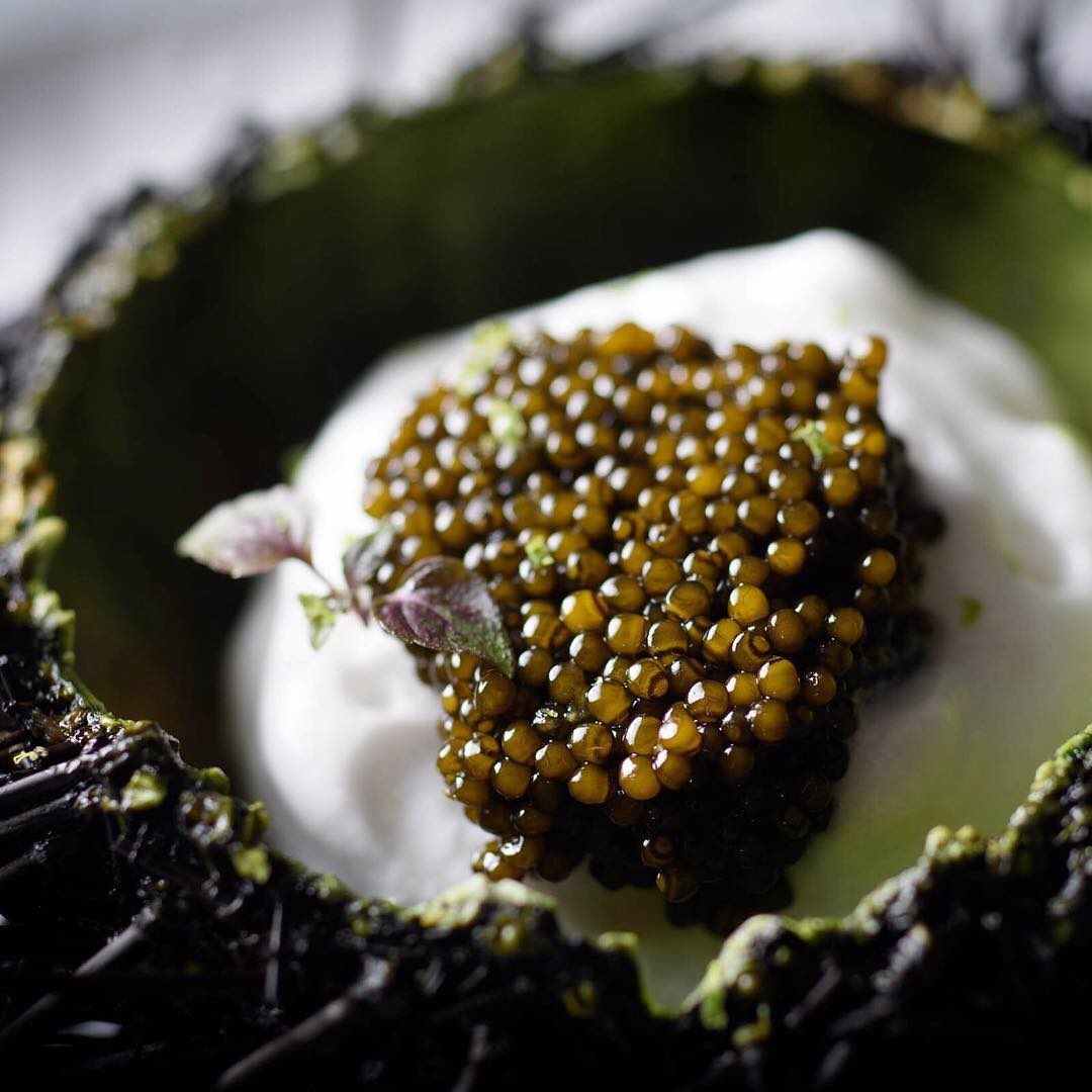 NYCWFF's tweet photo. This week’s #chefsofnycwff highlights returning favorite @DavidBouley! Don’t miss your chance to experience exquisite cuisine in his state-of-the-art culinary laboratory, @bouleytk. Join @davidbouley for dinner at #NYCWFF on 10/11! https://t.co/JhXHyCrd3C https://t.co/tVPkoRn5iC