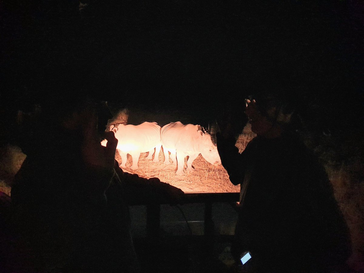 AshfordScoutsSA's tweet photo. Investiture into Explorers whilst feeding Rhinos! #SA2019 🇿🇦 @UKScouting @AlexxiaPG @Kentscouts @KentExplorers @BearGrylls @Scoutsscarter @TimothyKidd https://t.co/Gi19H8NCKQ