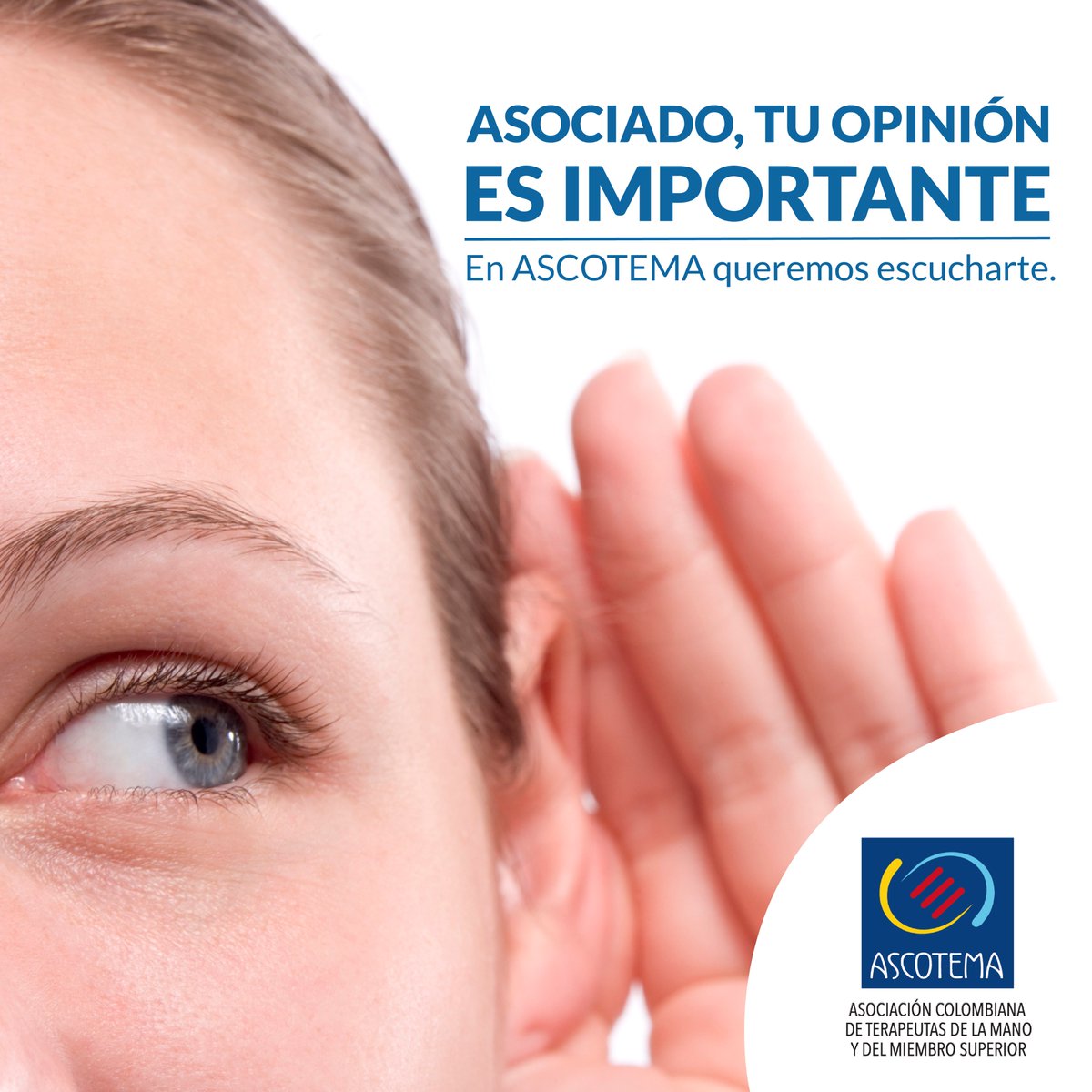ascotema's tweet photo. Si eres asociado y quieres aportarnos tus ideas, anímate a participar en los comités de trabajo de la nueva Junta Directiva que se elige en la Asamblea Extraordinaria del 30 de agosto, en el marco del congreso .
#ascotema #terapiaocupacional #rehabilitacionmanoymiembrosuperior https://t.co/h9Re89G9JQ