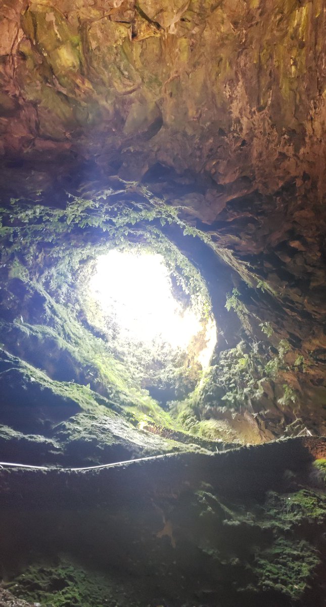devin_johnson3's tweet photo. Went deep into the earth today. Cold n wet. #cavepainter https://t.co/eouNk0njXC