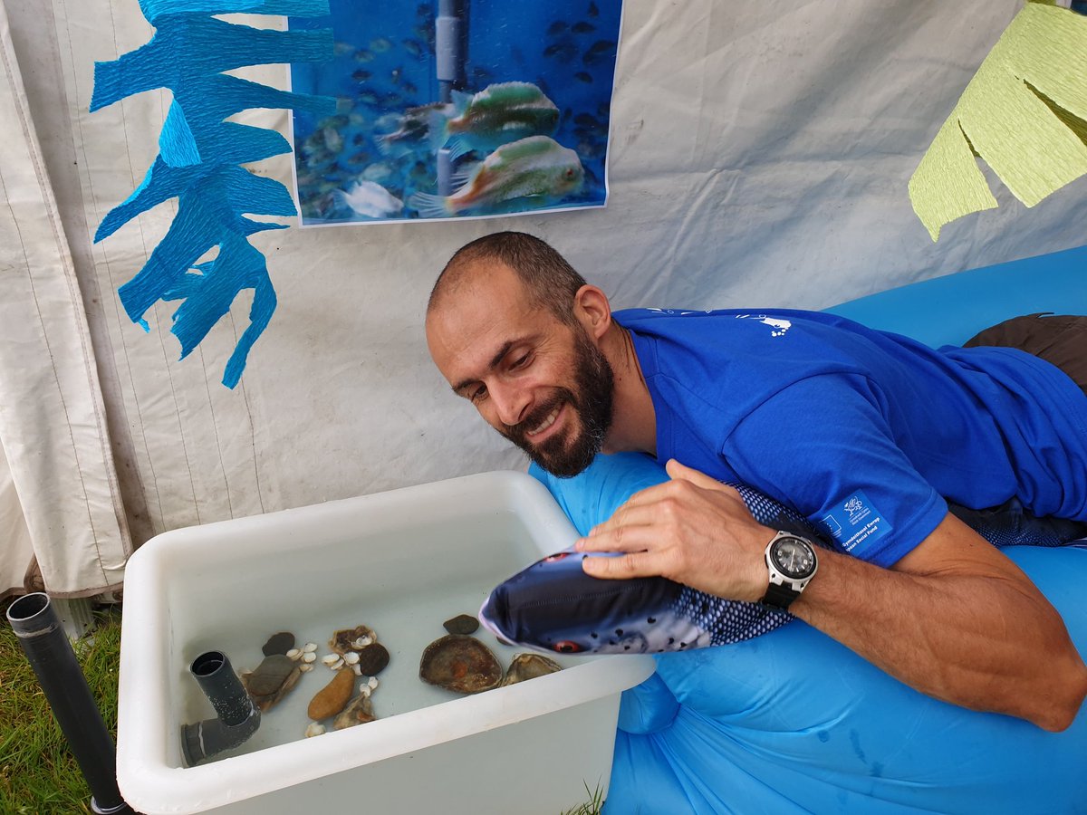 sciencetell's tweet photo. Our #greenmanfestival stall is  ready to open. The SMARTAQUA team welcomes guests to its #Fish with an itch stall, come see our #seaweed #c #zebr #cleanerfish and much more @swanscience @GreenManFest @rspcaassured  @ciwf @ba_whittaker can you spot the #lumpfish? https://t.co/lwJtVRQYVG