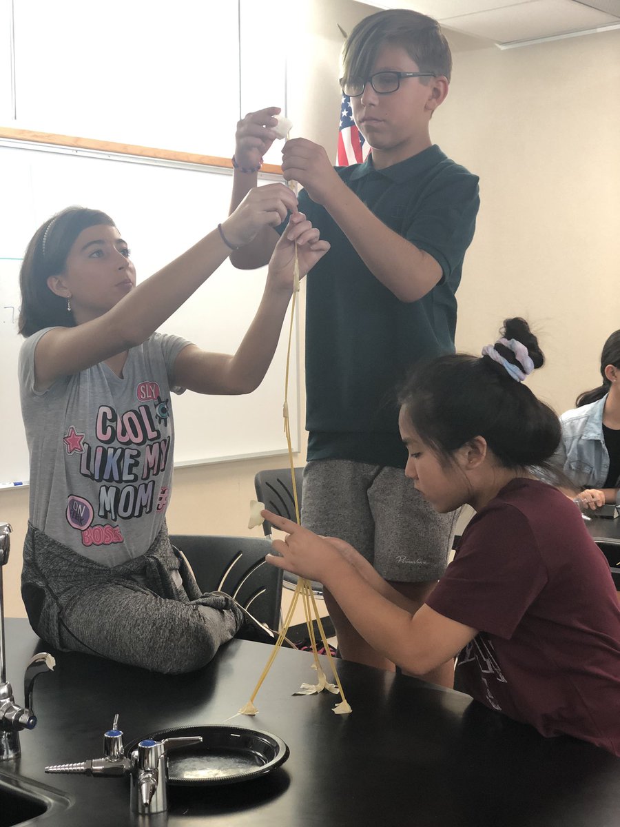 Rinkerscience's tweet photo. #marshmallowchallenge 
It took some students a little longer, but communication and collaboration paid off! Highest of the day was 28.5” (72 cm) https://t.co/IOmwUEJjI7